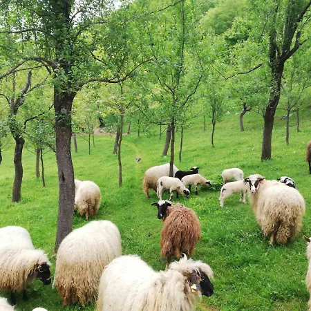 Ferienhaus Beata * Kulen Vakuf